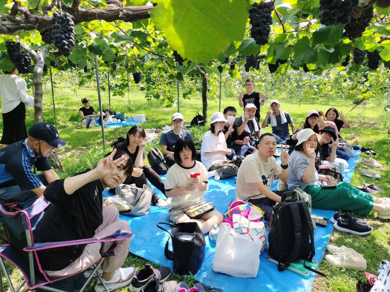 🍇ぶどう狩り🍇